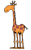 giraffe_010